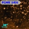 PGMW 1456