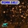 PGMW 1457