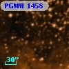 PGMW 1458