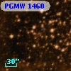 PGMW 1460