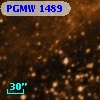 PGMW 1489
