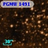 PGMW 1491