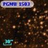 PGMW 1503