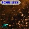 PGMW 1513