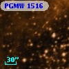 PGMW 1516