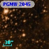 PGMW 2045