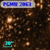 PGMW 2063