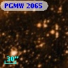 PGMW 2065