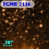 PGMW 2116