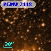 PGMW 2118