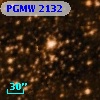 PGMW 2132