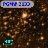 PGMW 2133
