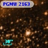 PGMW 2163