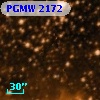 PGMW 2172