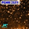 PGMW 2177