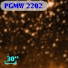 PGMW 2202