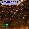 PGMW 2207