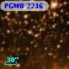 PGMW 2216