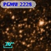 PGMW 2228