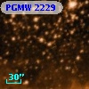 PGMW 2229