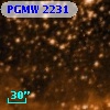 PGMW 2231