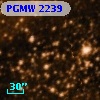 PGMW 2239