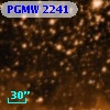 PGMW 2241