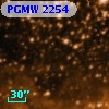PGMW 2254
