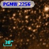 PGMW 2256