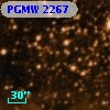 PGMW 2267