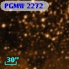 PGMW 2272