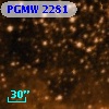 PGMW 2281