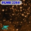 PGMW 2284