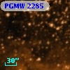 PGMW 2285