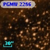 PGMW 2286
