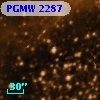 PGMW 2287