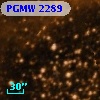 PGMW 2289