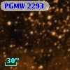 PGMW 2293