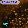 PGMW 2295