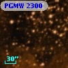 PGMW 2300