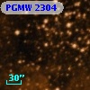 PGMW 2304