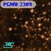 PGMW 2309