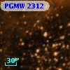 PGMW 2312