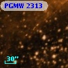 PGMW 2313
