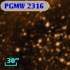 PGMW 2316