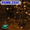 PGMW 2317