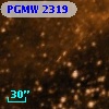 PGMW 2319