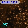 PGMW 2323