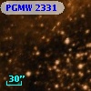 PGMW 2331