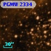 PGMW 2334